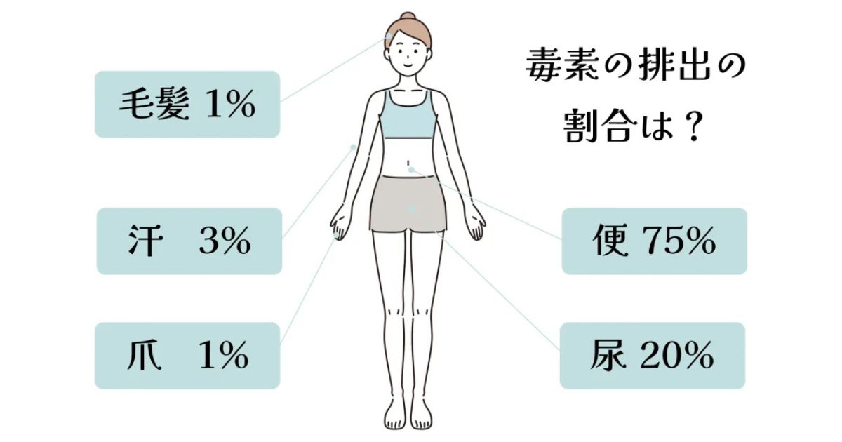 便秘 = 体に有害物質を溜め込むこと