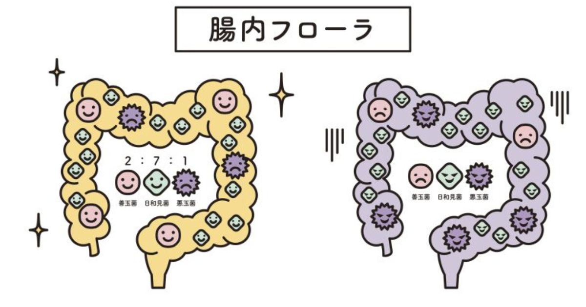 腸内環境を左右する「腸内フローラ」とは?